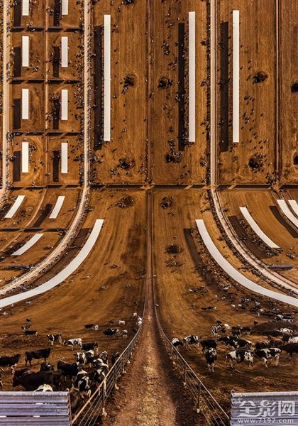 得克萨斯知乎 得克萨斯是哪个国家