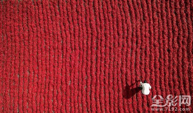 全球无人机排行榜前十名 全球十大无人机
