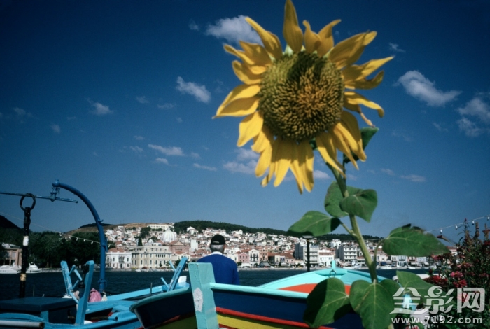 马格南街拍摄影大师 马格南摄影师街头摄影作品