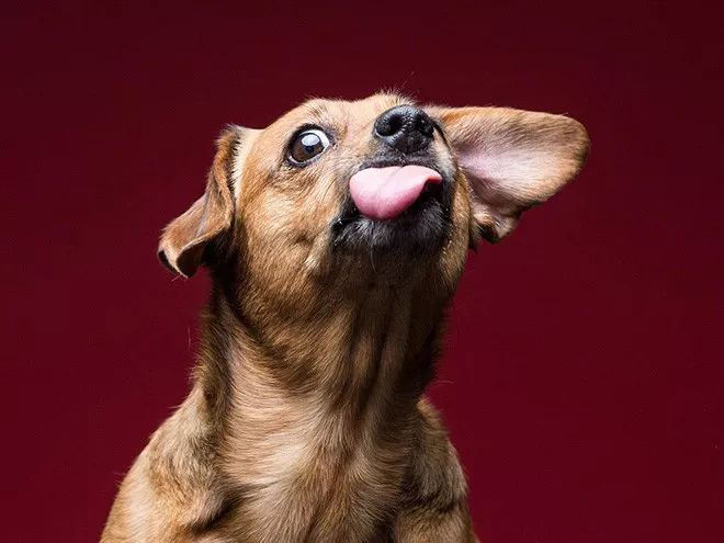 延时摄影是怎么回事啊 延时摄影的用处