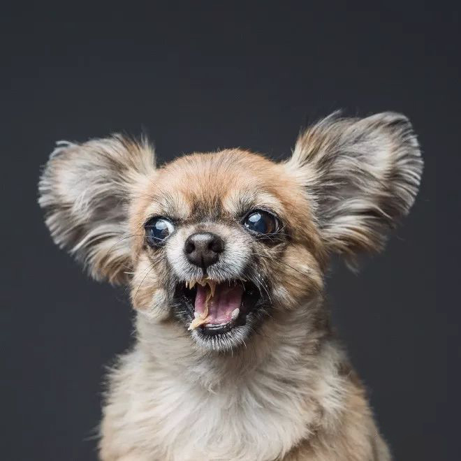 延时摄影是怎么回事啊 延时摄影的用处