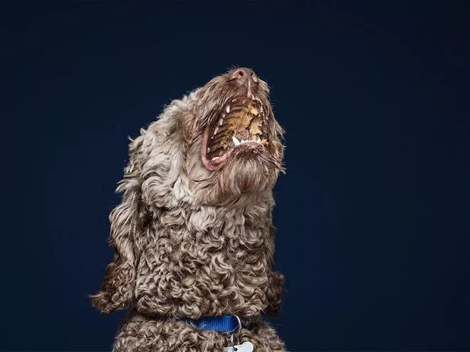 延时摄影是怎么回事啊 延时摄影的用处图2