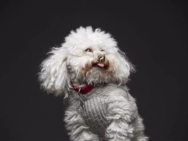 延时摄影是怎么回事啊 延时摄影的用处图3