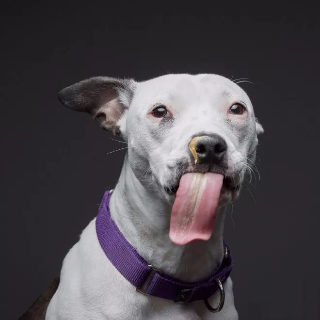 延时摄影是怎么回事啊 延时摄影的用处