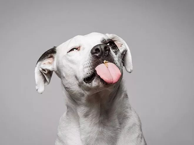 延时摄影是怎么回事啊 延时摄影的用处图1