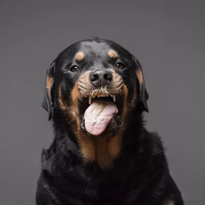 延时摄影是怎么回事啊 延时摄影的用处