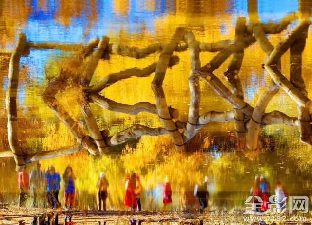 内蒙古第31届旅游那达慕 那达慕草原旅游节图1