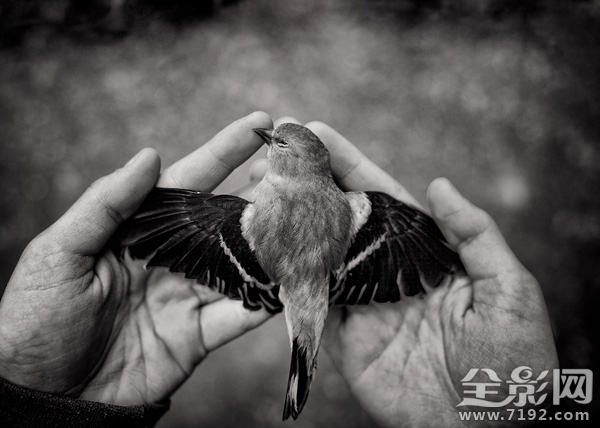 每一个生命的诞生都是上天的赐予 每个生命都是神圣的图3