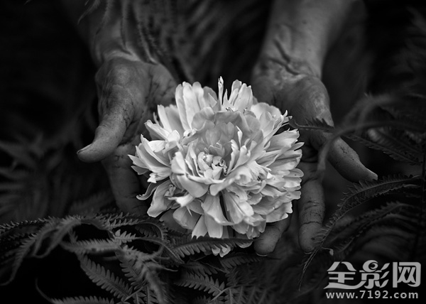 每一个生命的诞生都是上天的赐予 每个生命都是神圣的