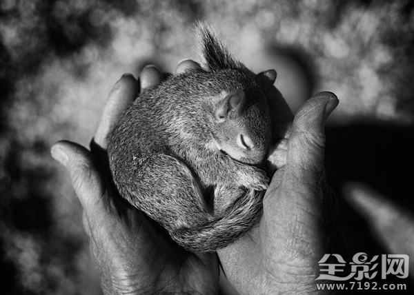 每一个生命的诞生都是上天的赐予 每个生命都是神圣的