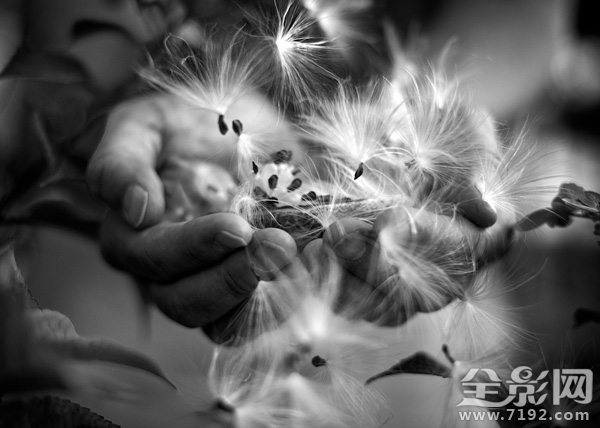 每一个生命的诞生都是上天的赐予 每个生命都是神圣的