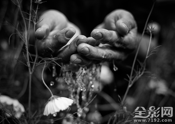 每一个生命的诞生都是上天的赐予 每个生命都是神圣的