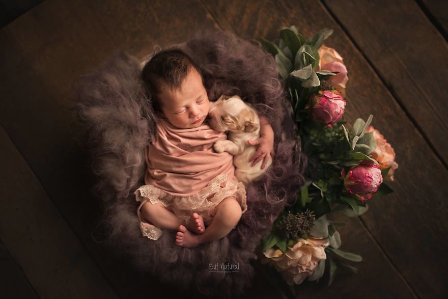 婴儿摄影布光图解 婴儿摄影创意