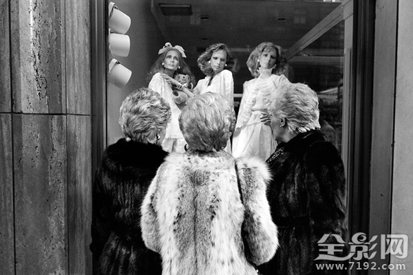 一部关于生活与奋斗的城市舞台剧叫什么 关于城市生活的电视剧