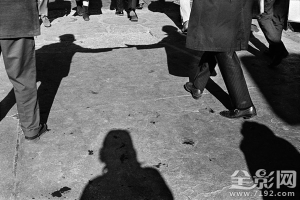 一部关于生活与奋斗的城市舞台剧叫什么 关于城市生活的电视剧