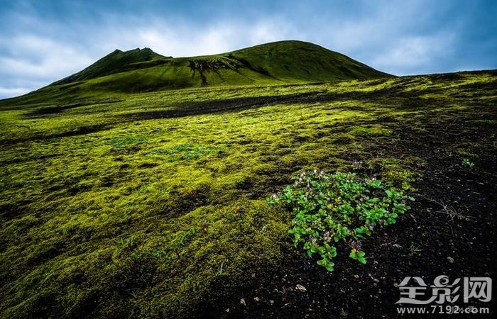 冰岛的夏季 冰岛夏天有冰吗