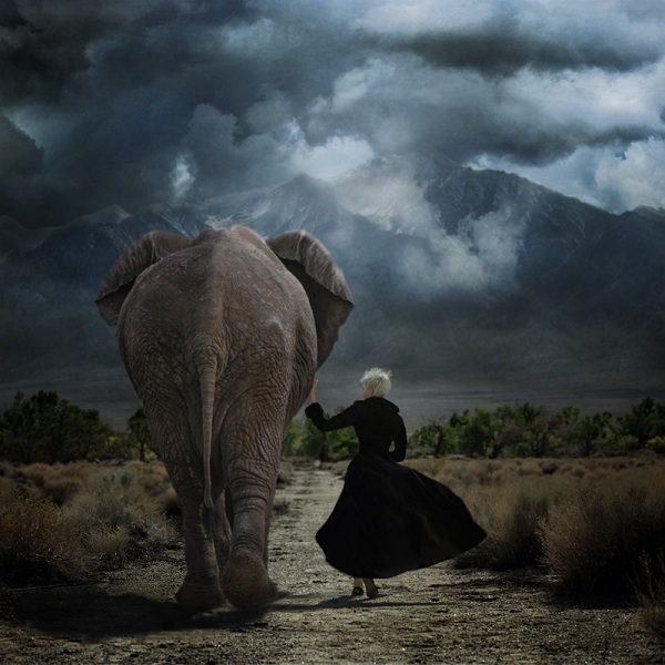 摄影色彩创意作品 摄影艺术作品展图1