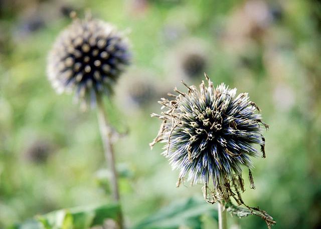 照片拍虚了如何处理 照片拍虚了后期能弄清晰吗图2