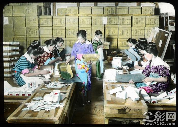 日本茶工艺 日本传统茶文化