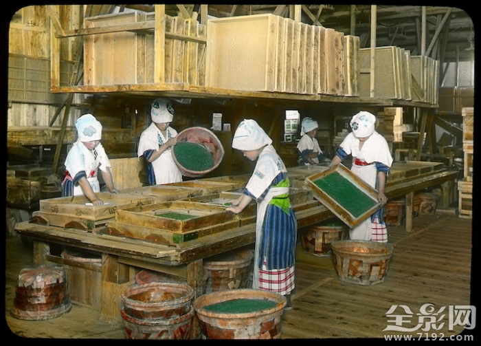 日本茶工艺 日本传统茶文化