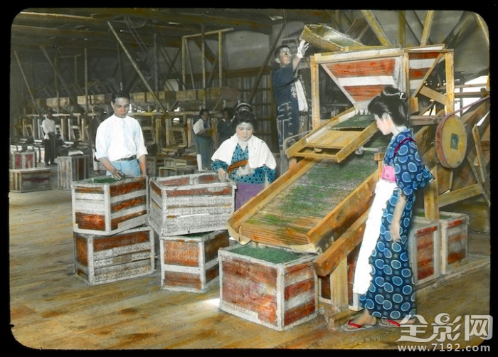 日本茶工艺 日本传统茶文化