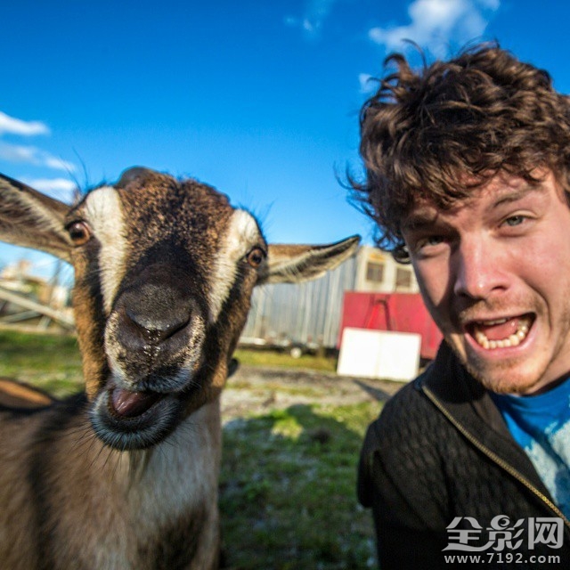 最搞笑的人与动物自拍视频 人与动物的搞笑对话图1