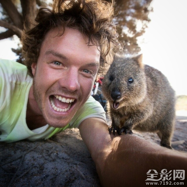 最搞笑的人与动物自拍视频 人与动物的搞笑对话图2