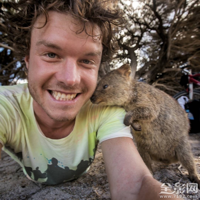 最搞笑的人与动物自拍视频 人与动物的搞笑对话