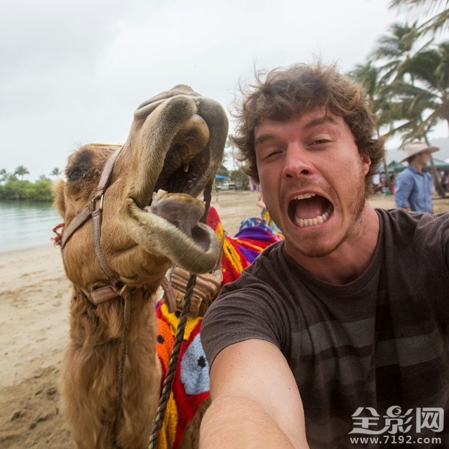 最搞笑的人与动物自拍视频 人与动物的搞笑对话