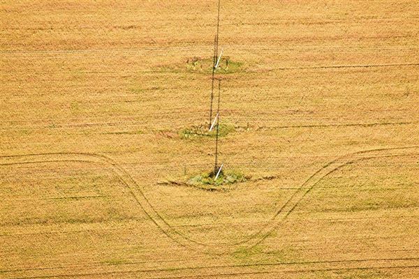 麦田鸟瞰 麦田现象