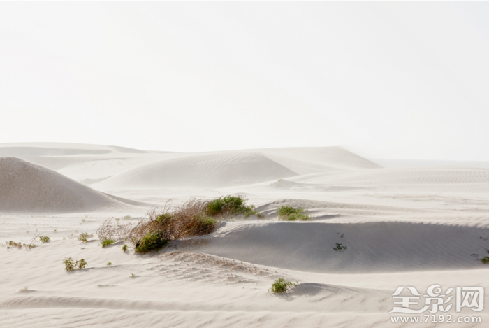 澳大利亚西部水盐较多的原因 澳大利亚盐业