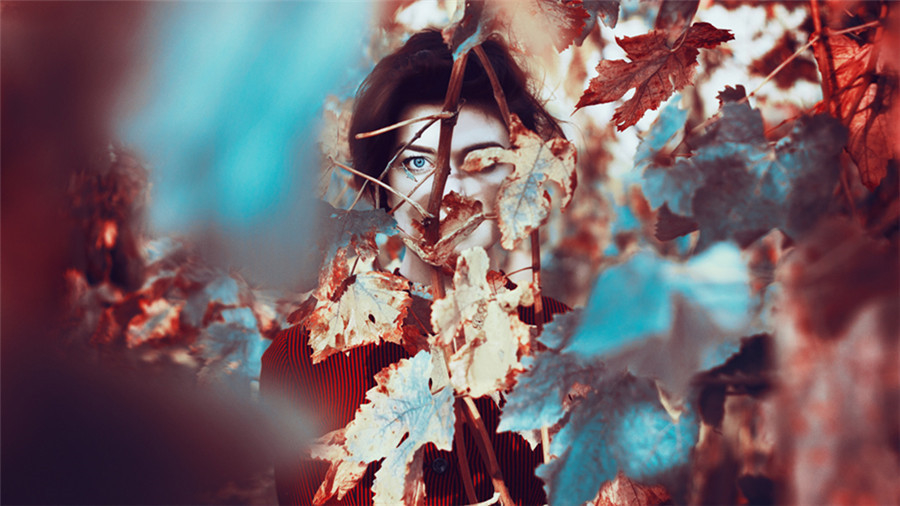 埃及摄影获奖作品 埃及元素设计图3