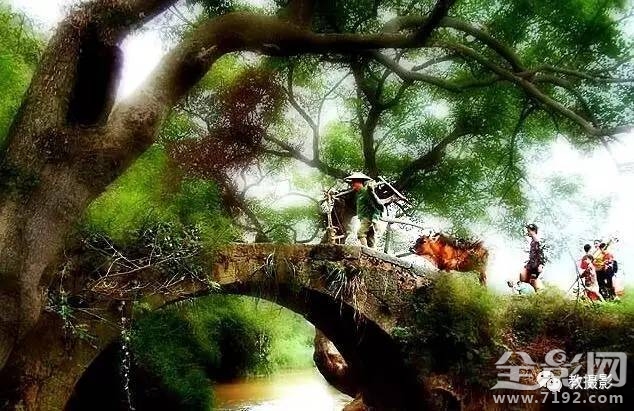 春意桥简介 春意谷试听