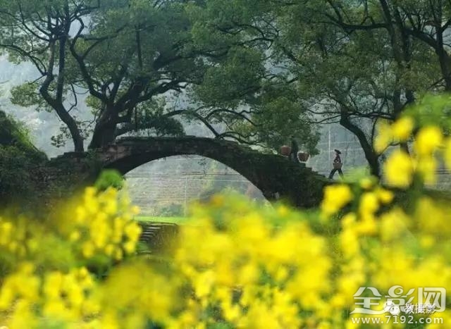 春意桥简介 春意谷试听