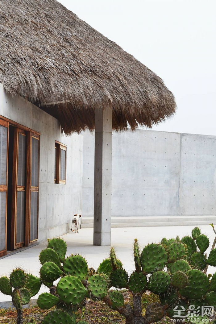 墨西哥风格别墅 墨西哥艺术作品