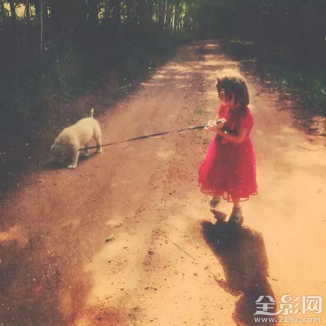 中国玩摄影的人有多少 一群摄影人