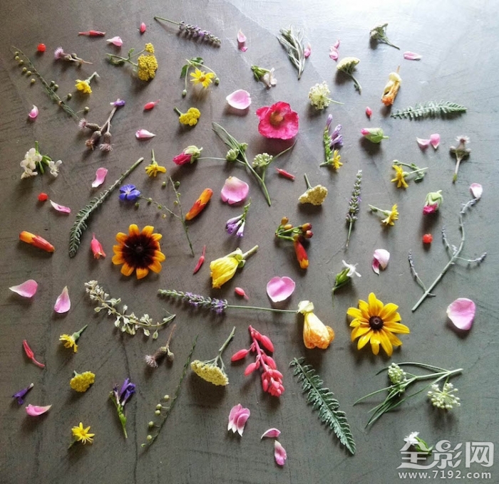 颜色强迫症很难受 颜控强迫症