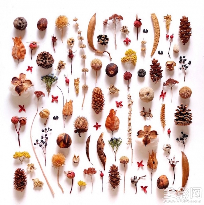 颜色强迫症很难受 颜控强迫症