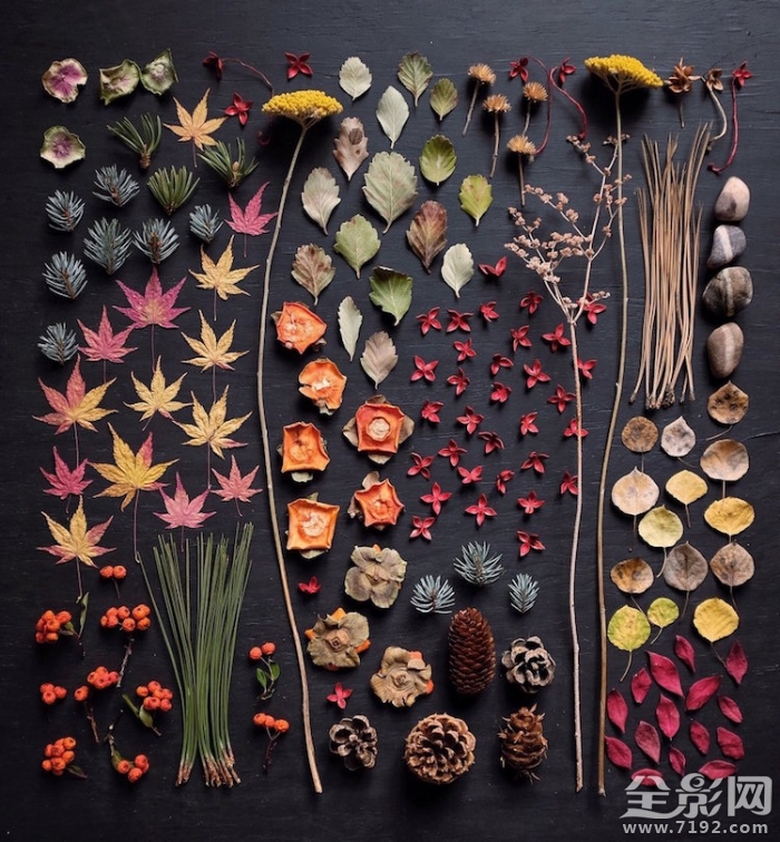 颜色强迫症很难受 颜控强迫症