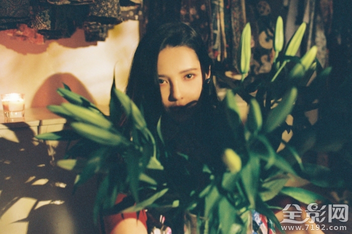 你爱的样子我都有 你爱的样子我都有文案