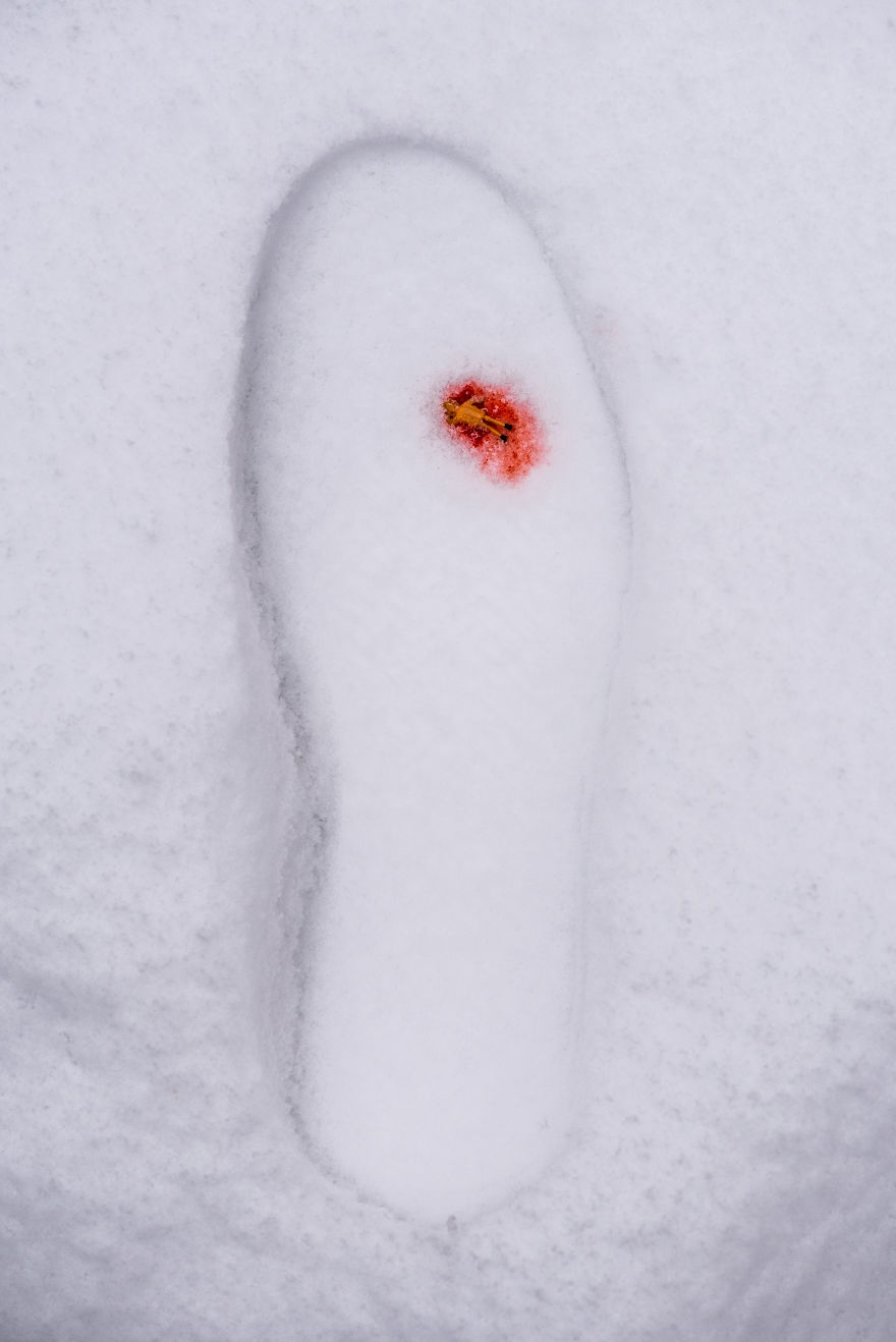 美食玩具的图片 美食 玩乐 活动指南