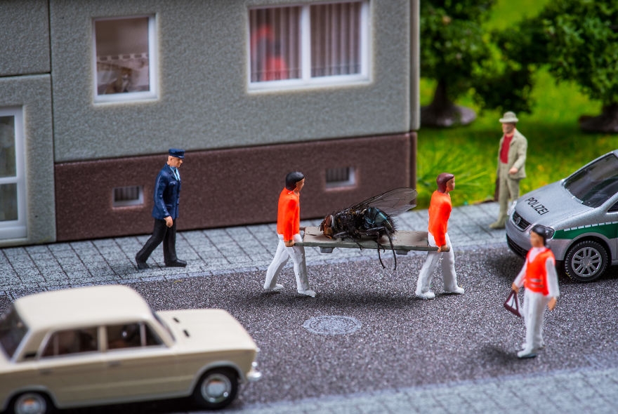 美食玩具的图片 美食 玩乐 活动指南