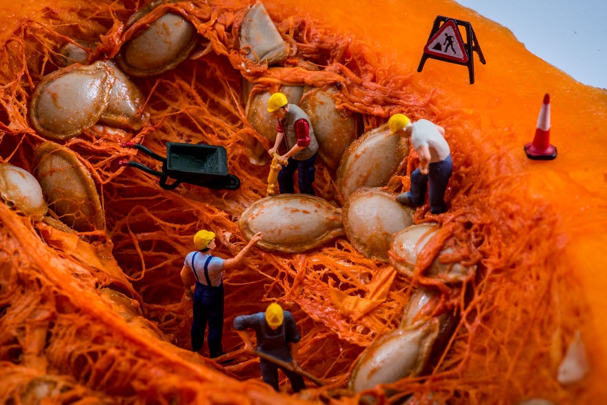 美食玩具的图片 美食 玩乐 活动指南