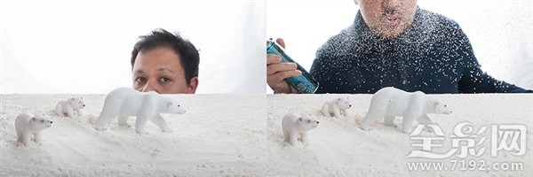 摄影师足不出户拍摄海洋生物走红的视频 拍摄海洋的摄影师