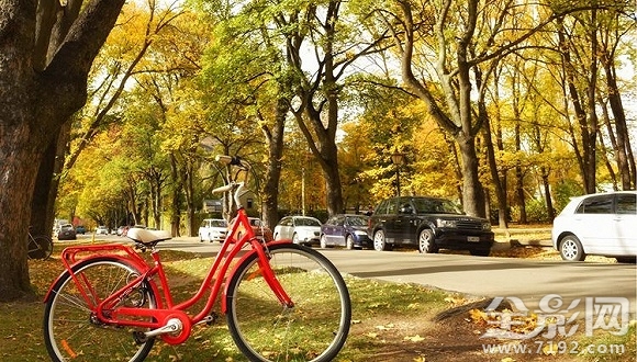 新西兰南岛美景 四只脚的小蛇图1