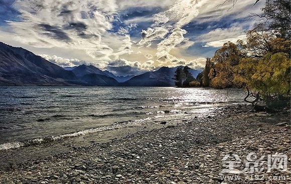 新西兰南岛美景 四只脚的小蛇图2