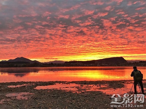 新西兰南岛美景 四只脚的小蛇图3