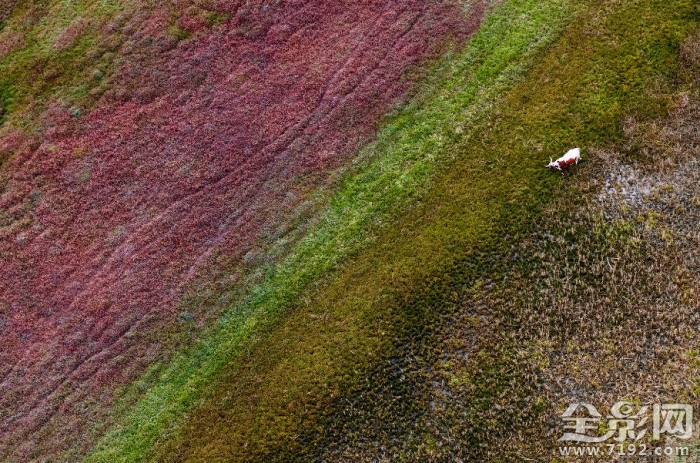镜头里的人与自然和谐相处 镜头下怎么表现的自然图1
