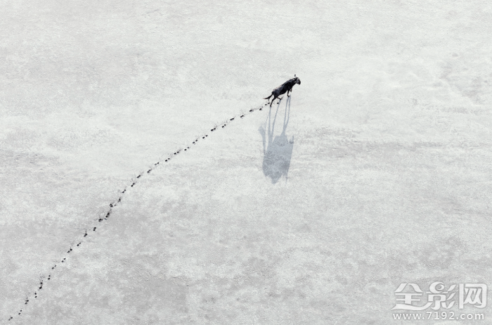 镜头里的人与自然和谐相处 镜头下怎么表现的自然