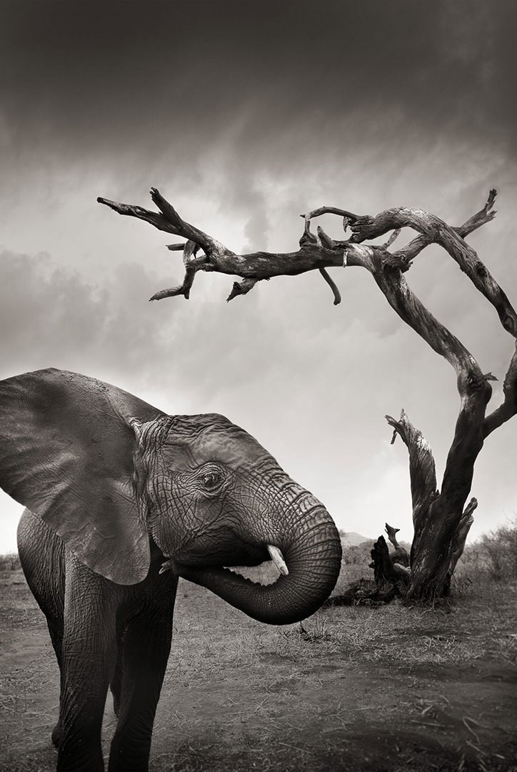 宜家 摄影 宜家拍摄技巧